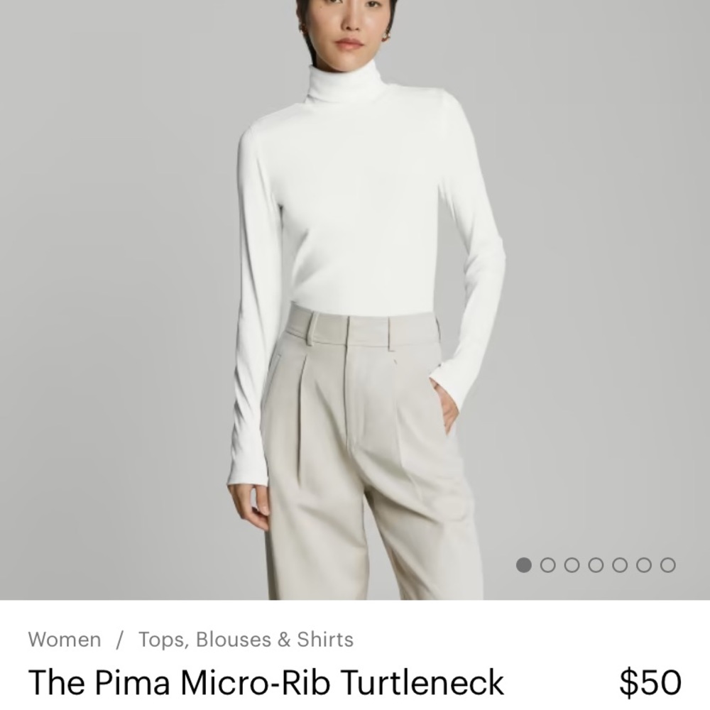 Everlane The Pima Micro-Rib Turtleneck (white)
